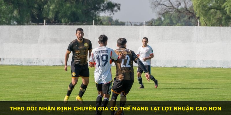 Theo dõi nhận định chuyên gia có thể mang lại lợi nhuận cao hơn