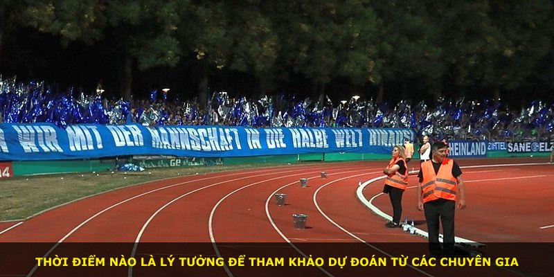 Thời điểm nào là lý tưởng để tham khảo dự đoán từ các chuyên gia