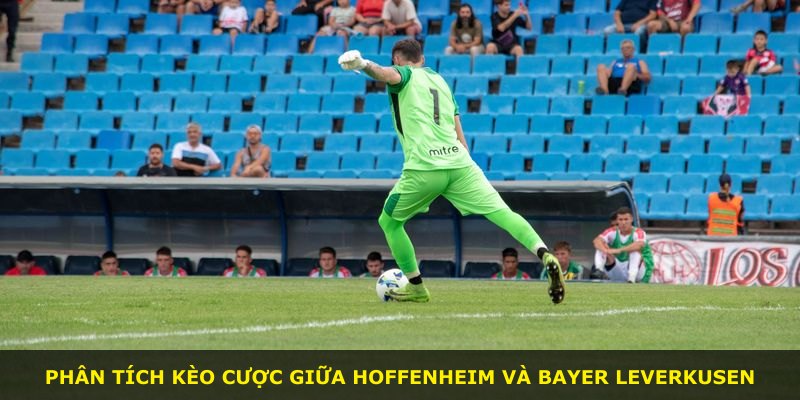 Phân tích kèo cược giữa Hoffenheim và Bayer Leverkusen