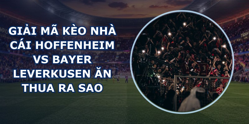 giải mã kèo nhà cái Hoffenheim vs Bayer Leverkusen
