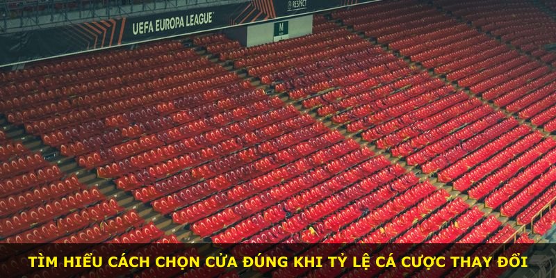 Tìm hiểu cách chọn cửa đúng khi tỷ lệ cá cược thay đổi