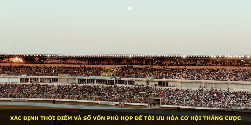 Xác định thời điểm và số vốn phù hợp để tối ưu hóa cơ hội thắng cược