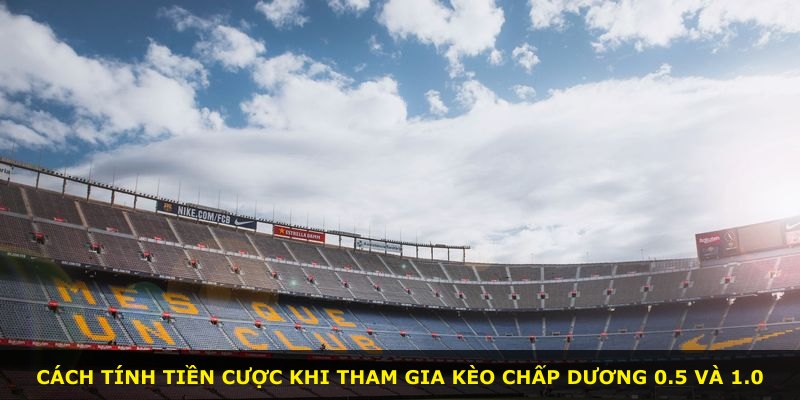 Cách tính tiền cược khi tham gia kèo chấp dương 0.5 và 1.0
