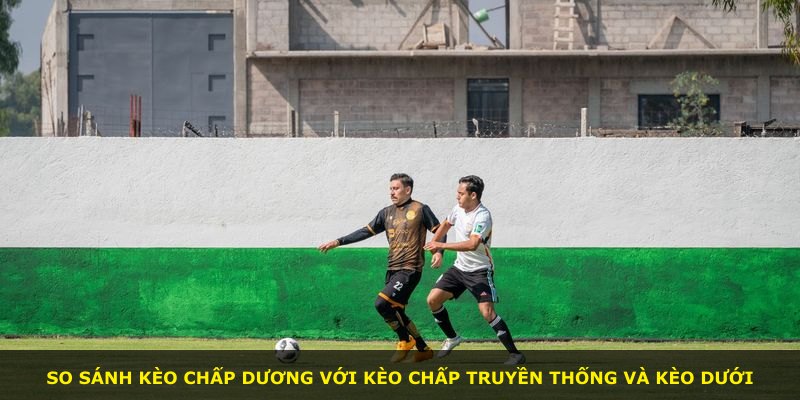So sánh kèo chấp dương với kèo chấp truyền thống và kèo dưới