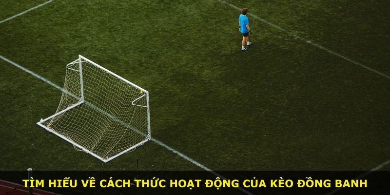 Tìm hiểu về cách thức hoạt động của Kèo Đồng Banh