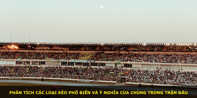 Phân tích các loại kèo phổ biến và ý nghĩa của chúng trong trận đấu