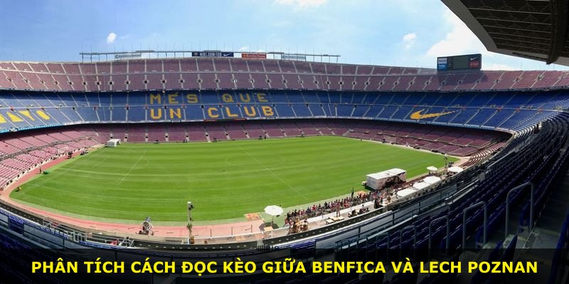 Phân tích cách đọc kèo giữa Benfica và Lech Poznan
