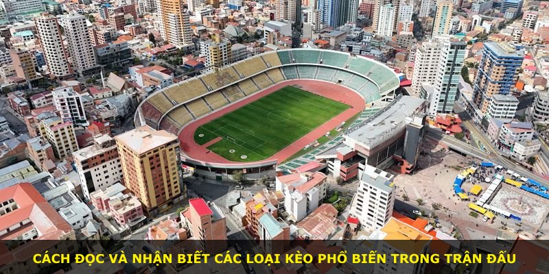 Cách đọc và nhận biết các loại kèo phổ biến trong trận đấu