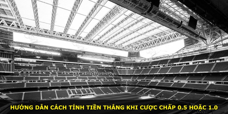 Hướng dẫn cách tính tiền thắng khi cược chấp 0.5 hoặc 1.0