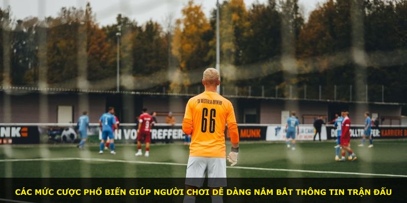 Các mức cược phổ biến giúp người chơi dễ dàng nắm bắt thông tin trận đấu