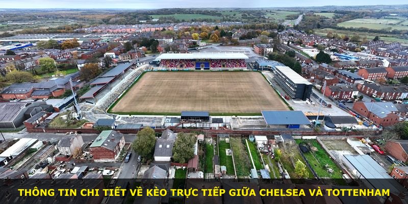 Thông tin chi tiết về kèo trực tiếp giữa Chelsea và Tottenham