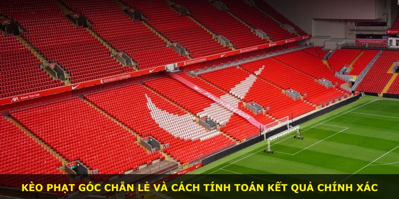 Kèo phạt góc chẵn lẻ và cách tính toán kết quả chính xác