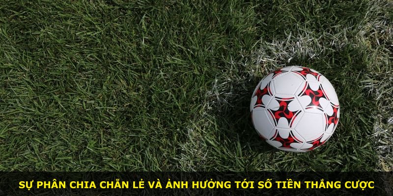 Sự phân chia chẵn lẻ và ảnh hưởng tới số tiền thắng cược