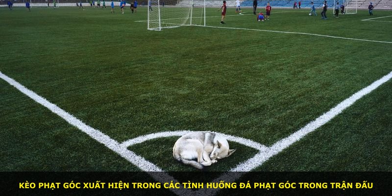 Kèo phạt góc xuất hiện trong các tình huống đá phạt góc trong trận đấu