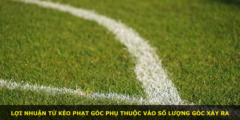 Lợi nhuận từ kèo phạt góc phụ thuộc vào số lượng góc xảy ra