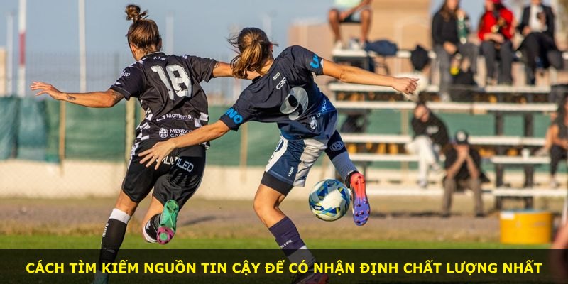 Cách tìm kiếm nguồn tin cậy để có nhận định chất lượng nhất
