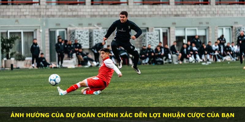 Ảnh hưởng của dự đoán chính xác đến lợi nhuận cược của bạn