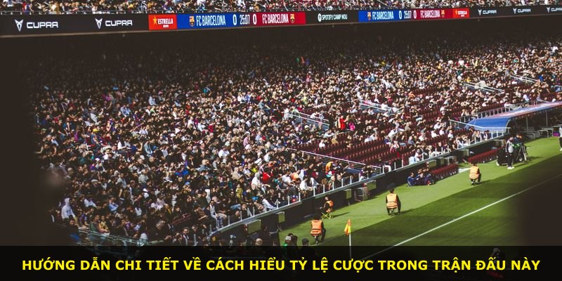 Hướng dẫn chi tiết về cách hiểu tỷ lệ cược trong trận đấu này