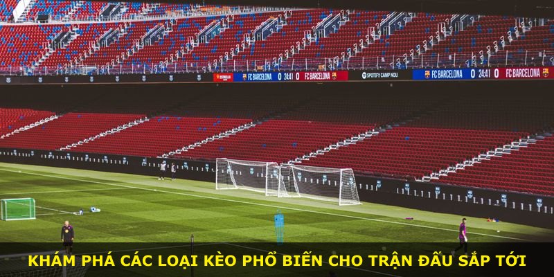 Khám phá các loại kèo phổ biến cho trận đấu sắp tới