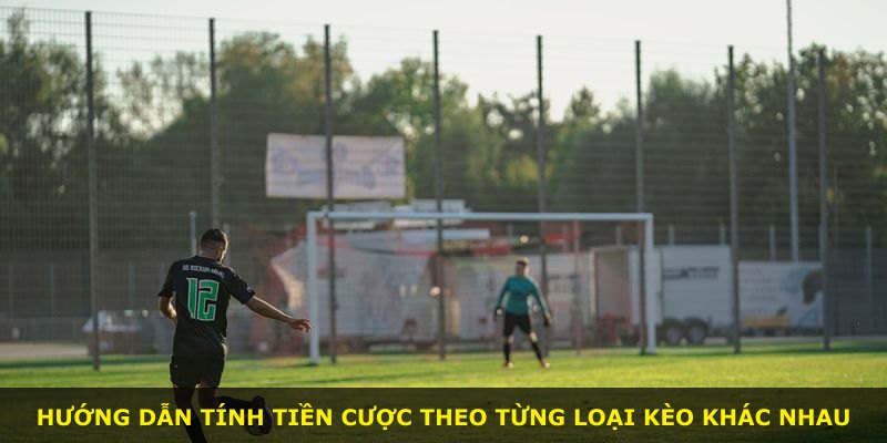 Hướng dẫn tính tiền cược theo từng loại kèo khác nhau