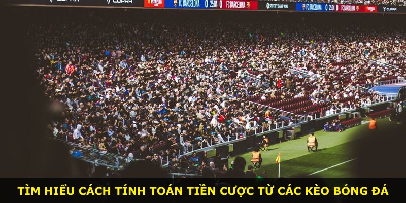 Tìm hiểu cách tính toán tiền cược từ các kèo bóng đá