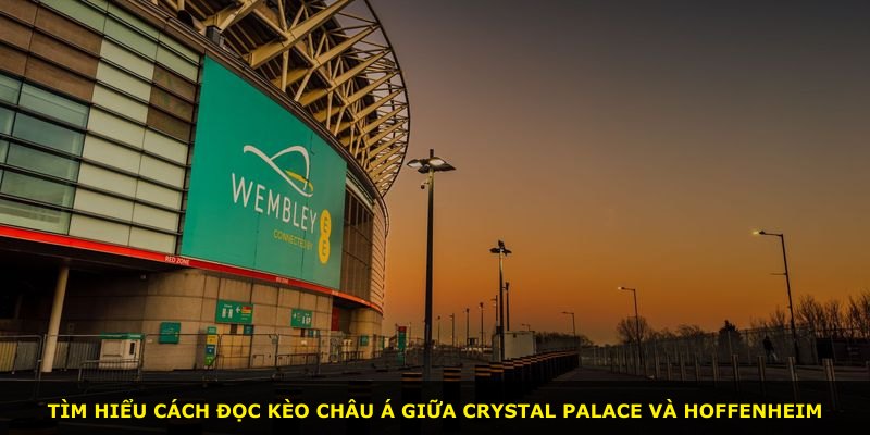 Tìm hiểu cách đọc kèo châu Á giữa Crystal Palace và Hoffenheim
