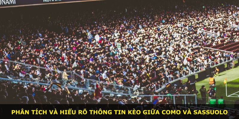 Phân tích và hiểu rõ thông tin kèo giữa Como và Sassuolo