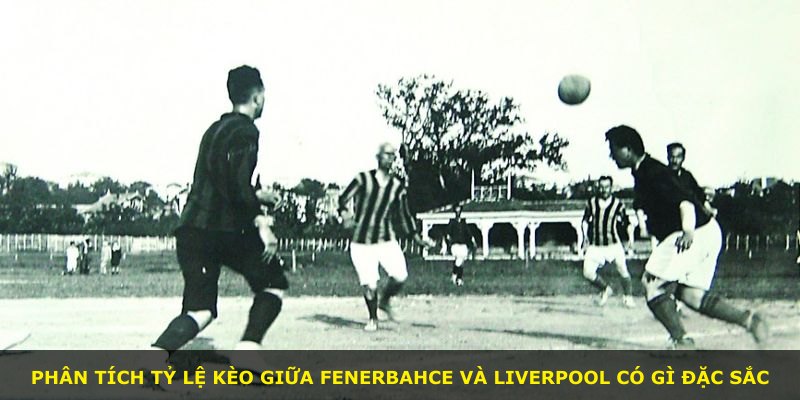 Phân tích tỷ lệ kèo giữa Fenerbahce và Liverpool có gì đặc sắc