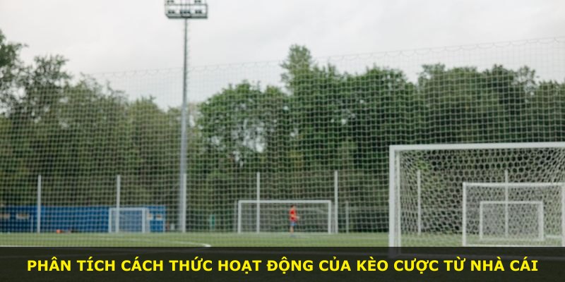 Phân tích cách thức hoạt động của kèo cược từ nhà cái