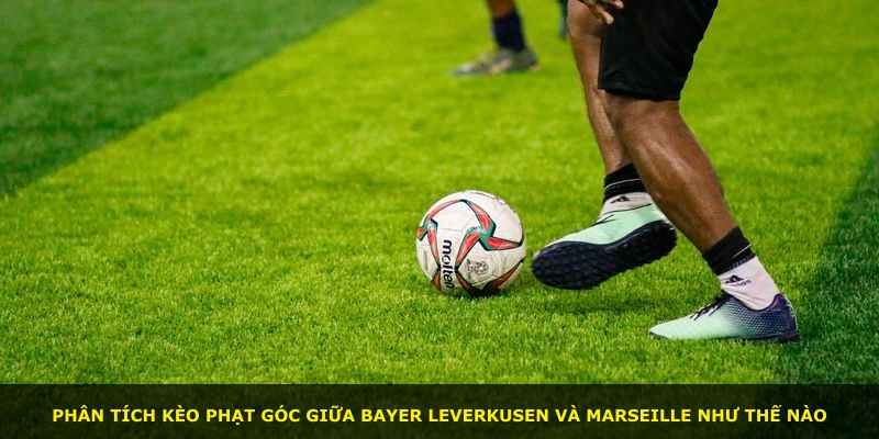 Phân tích kèo phạt góc giữa Bayer Leverkusen và Marseille như thế nào