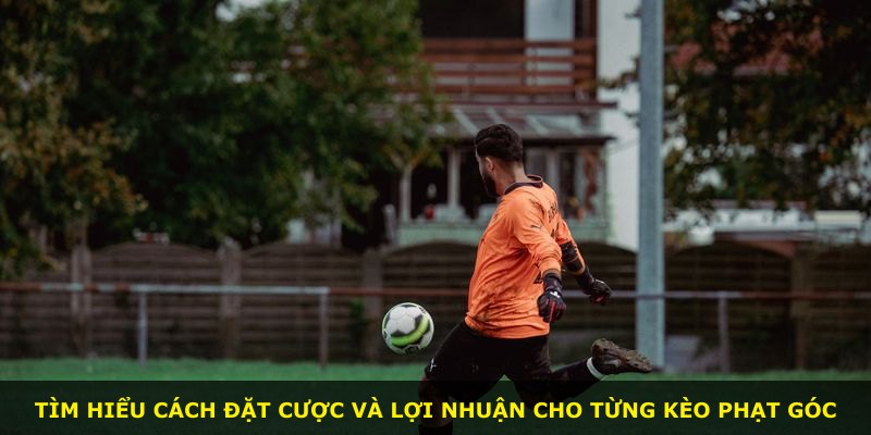 Tìm hiểu cách đặt cược và lợi nhuận cho từng kèo phạt góc