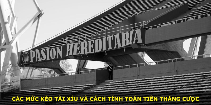 Các mức kèo tài xỉu và cách tính toán tiền thắng cược