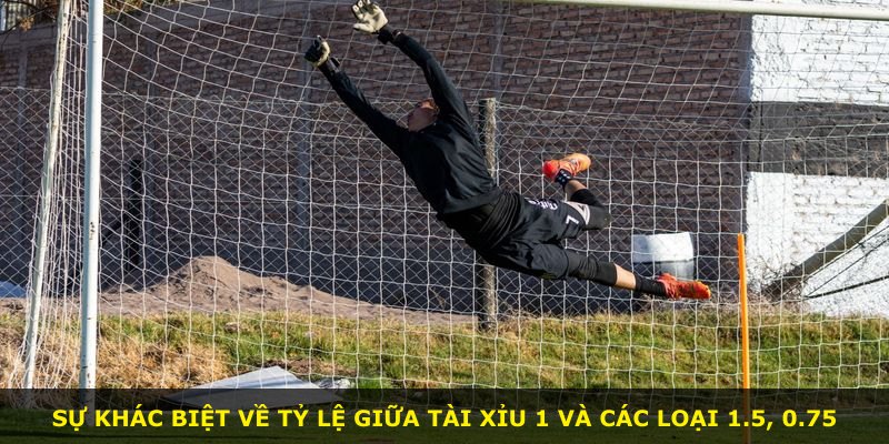 Sự khác biệt về tỷ lệ giữa Tài Xỉu 1 và các loại 1.5, 0.75