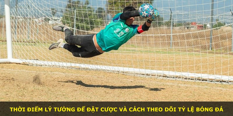 Thời điểm lý tưởng để đặt cược và cách theo dõi tỷ lệ bóng đá