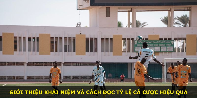 Giới thiệu khái niệm và cách đọc tỷ lệ cá cược hiệu quả