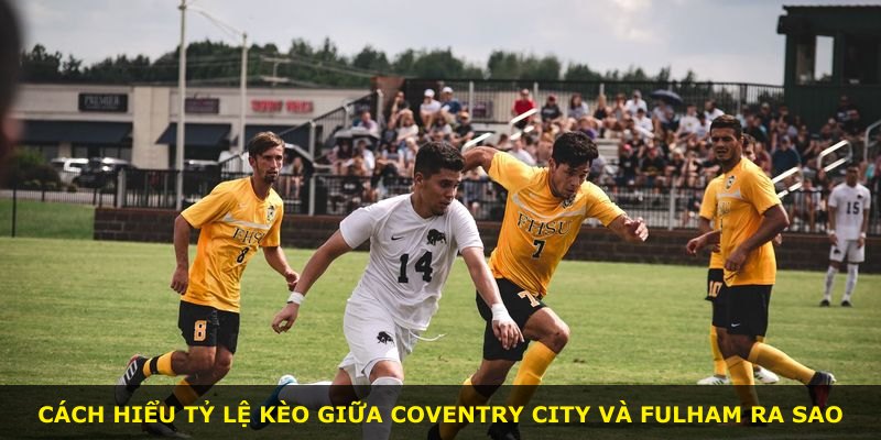 Cách hiểu tỷ lệ kèo giữa Coventry City và Fulham ra sao
