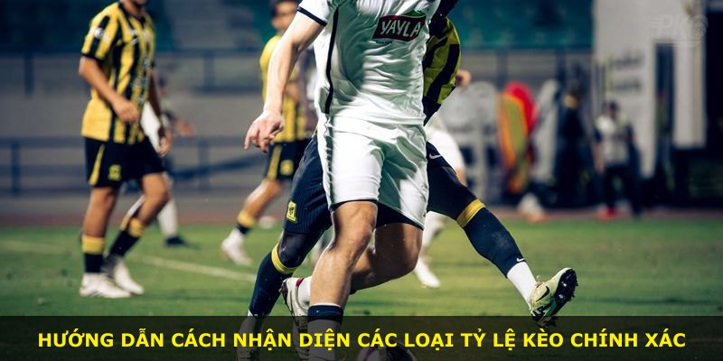 Hướng dẫn cách nhận diện các loại tỷ lệ kèo chính xác