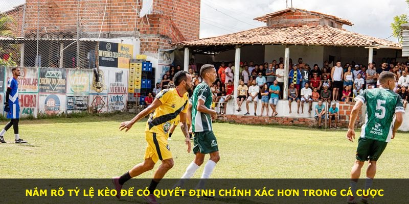 Nắm rõ tỷ lệ kèo để có quyết định chính xác hơn trong cá cược