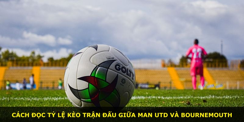 Cách đọc tỷ lệ kèo trận đấu giữa Man Utd và Bournemouth